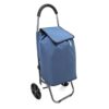 Carucior pentru piata, incapator, sac 40 L , roti mari, cadru aluminiu